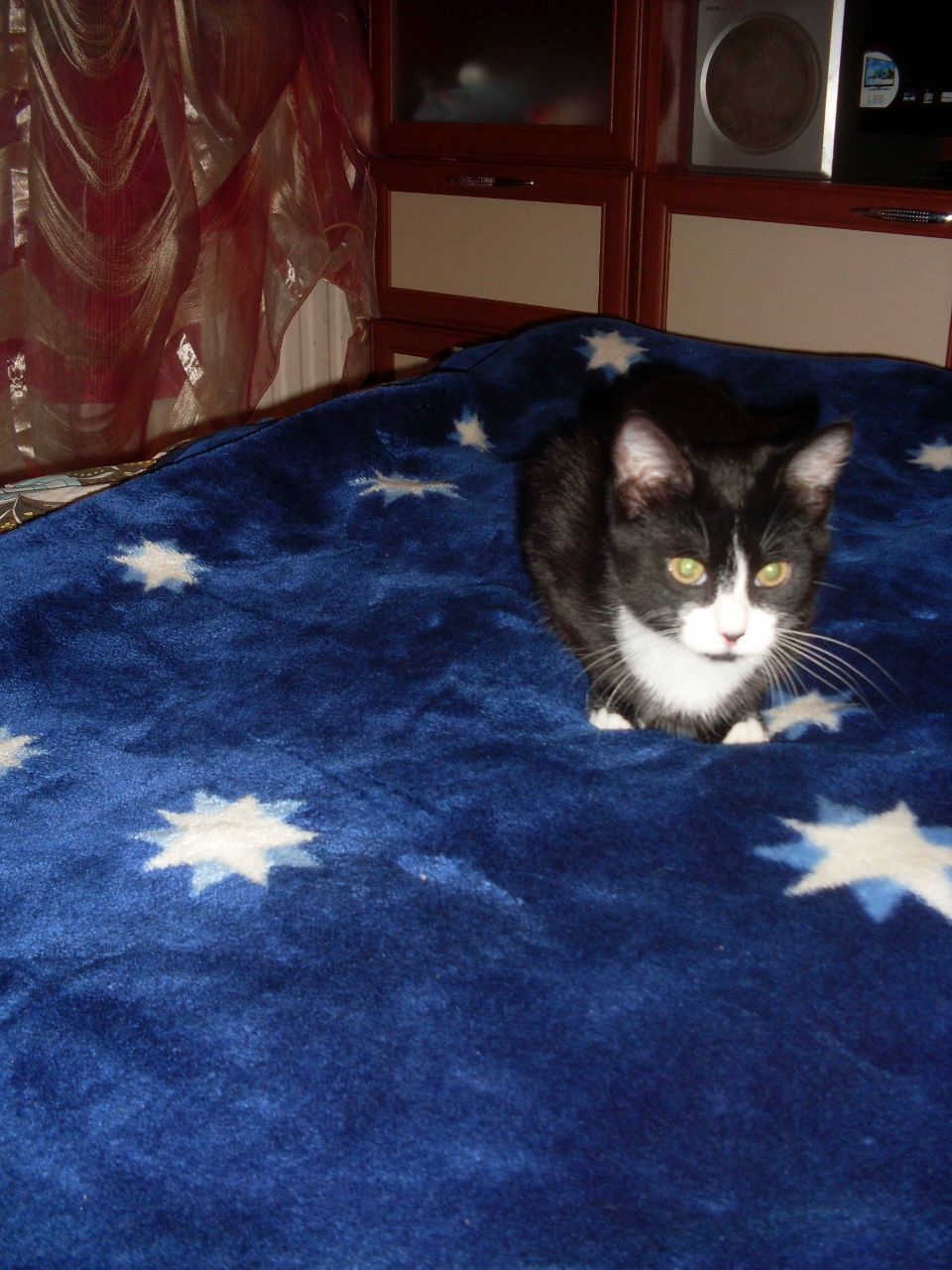 Вадим Прохоренко | Санкт-Петербург