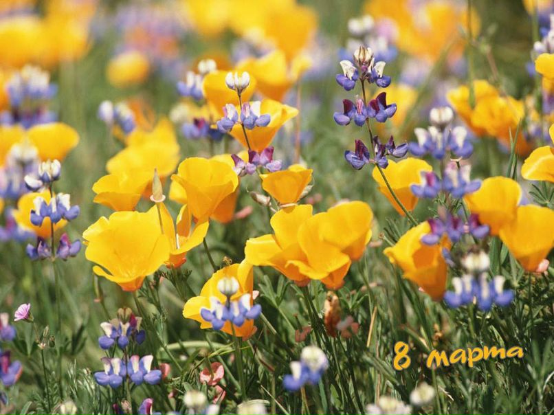 Игорь Булдаков | Николаев