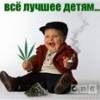 Аватар: Стела Джаловян