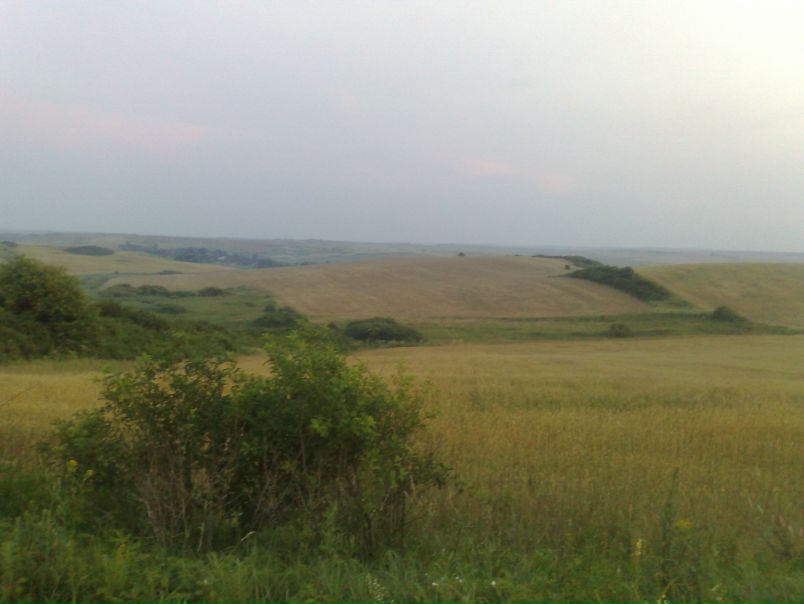 №10, Олег Шпиля, Львов №10, Олег Шпиля, Львов