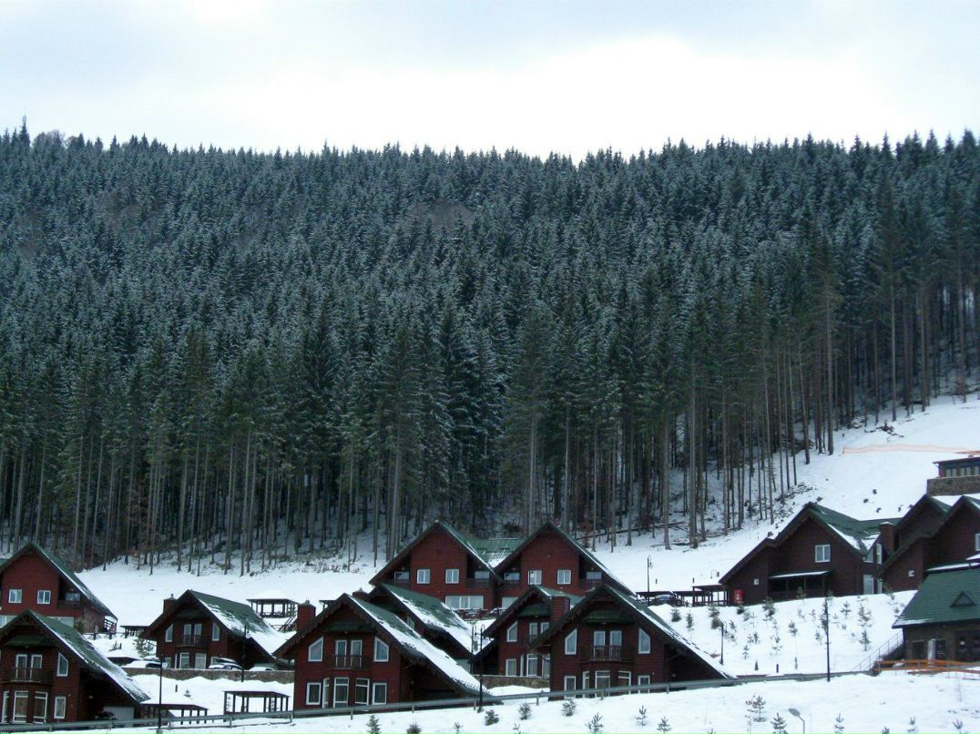 Алексей Войтенко | Днепр (Днепропетровск)