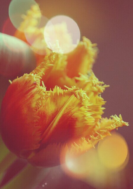 Алёна Вахнина | Москва