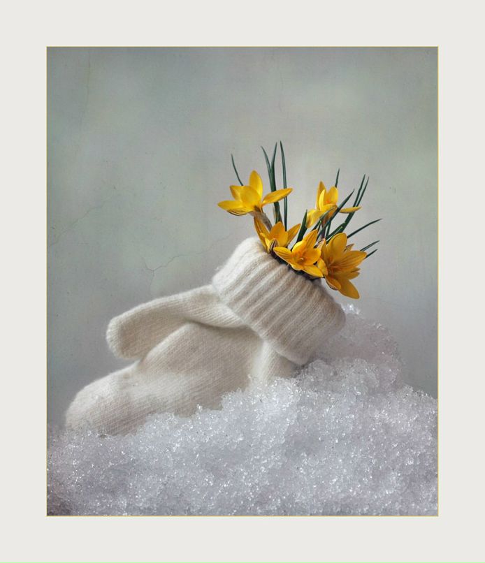 Татьяна Бережная | Лисичанск