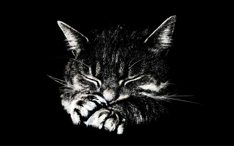 Арман Надиров Psix1366 | 