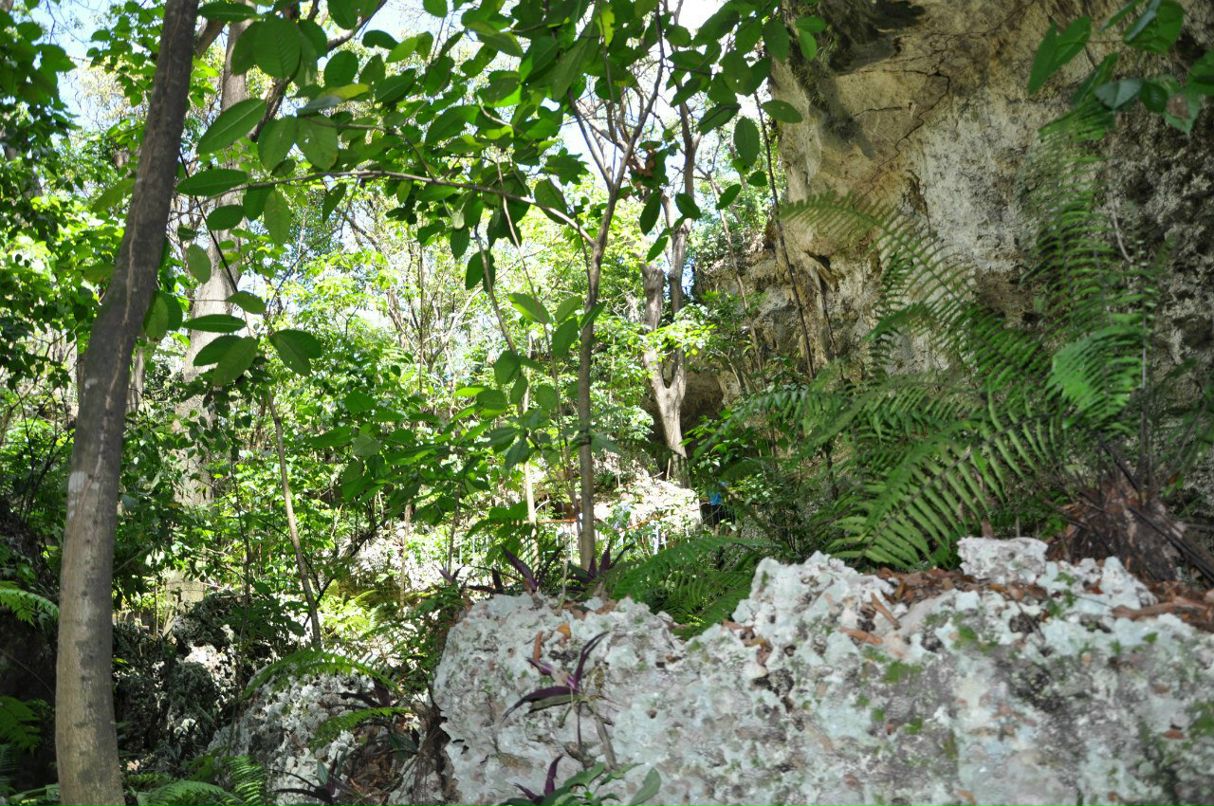 Марат Фаткуллин | Казань