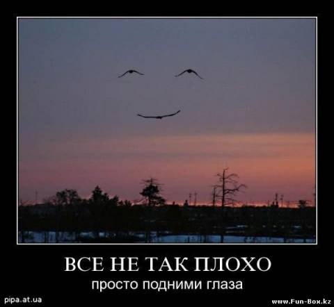 №41, Константин Московский №41, Константин Московский