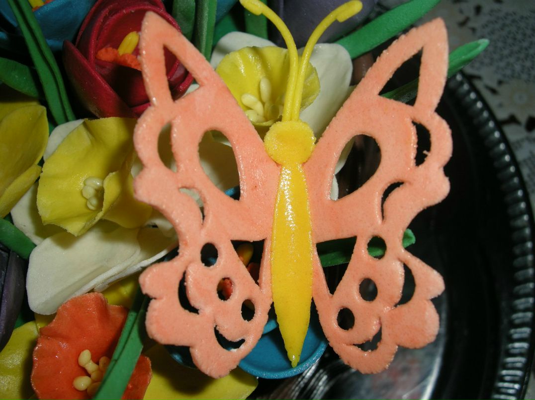 Елена Рак | Бровары