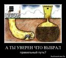 Фотография Давид Гусман