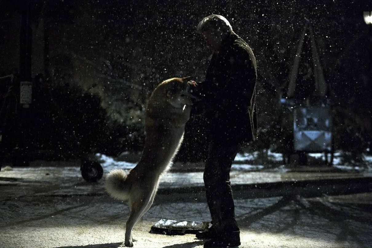 Наташа Сазонова | Санкт-Петербург