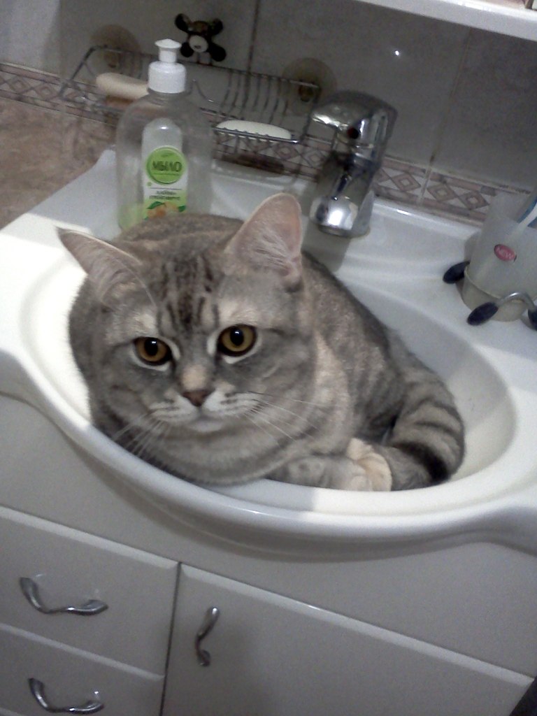 Анна Зебницкая | Киров