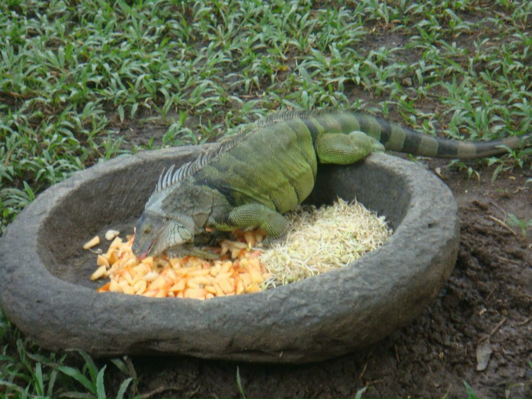 Екатерина Соколова | Москва