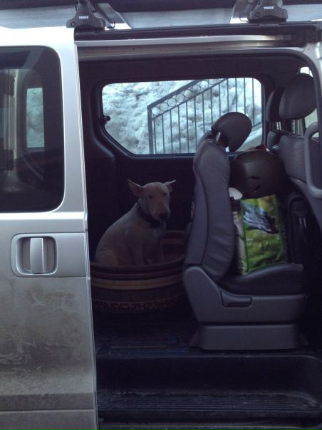 №73, Сергей Логвин, Москва №73, Сергей Логвин, Москва