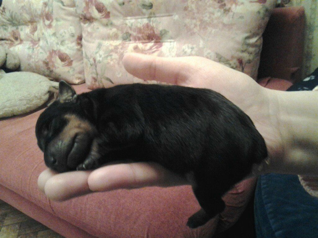 Анастасия Сухова | Москва