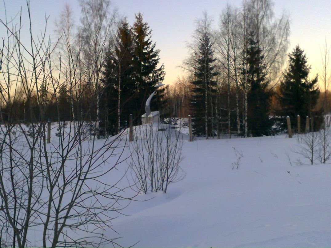 Антон Меркульев <fenix_4> | Пикалево