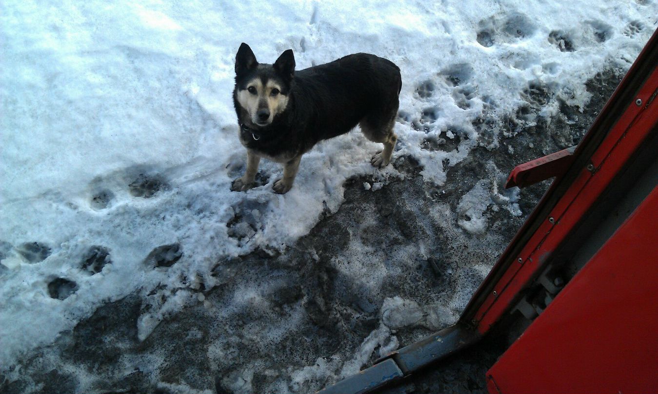 Александра Чернова Sanechka | Новосибирск