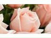 Ирина Курленко | Одесса