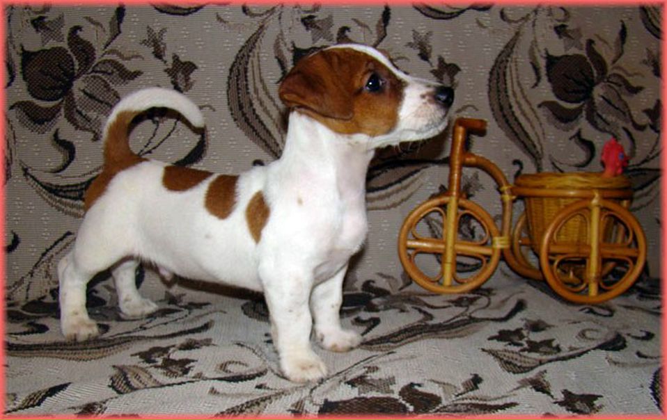 №35, Екатерина Якушкина, 36 лет, Химки, Россия №35, Екатерина Якушкина, 36 лет, Химки, Россия