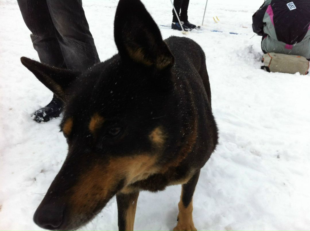 Ярослав Ягель | Санкт-Петербург