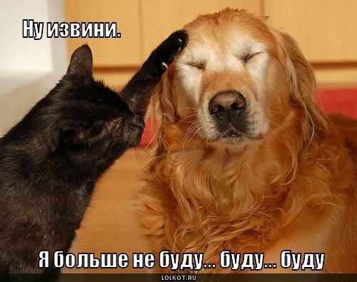 Анна Яковлева | Санкт-Петербург