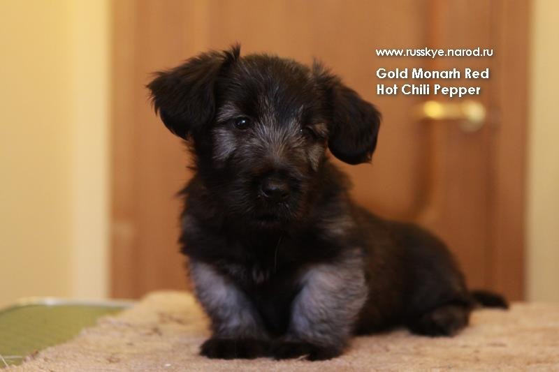 Ангелина Сартакова | Санкт-Петербург