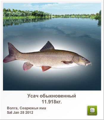 Слава Данилов | Екатеринбург