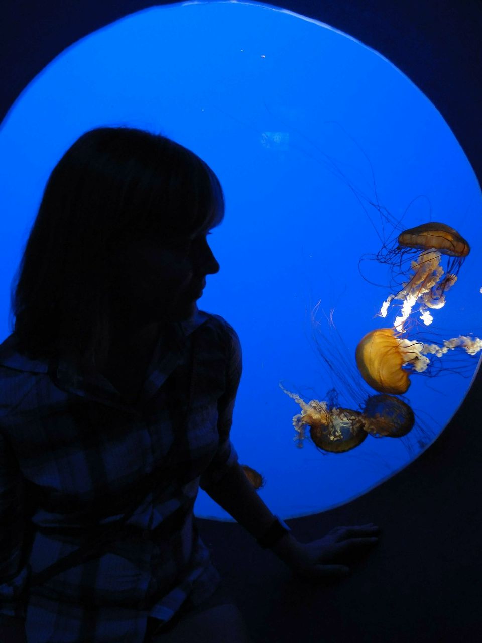 Юлия Щепоткина | Волгоград