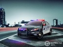 Фотография Панова Яниса
