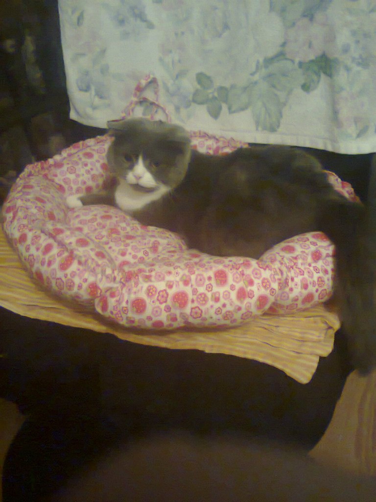 Василий Блохин | Абакан