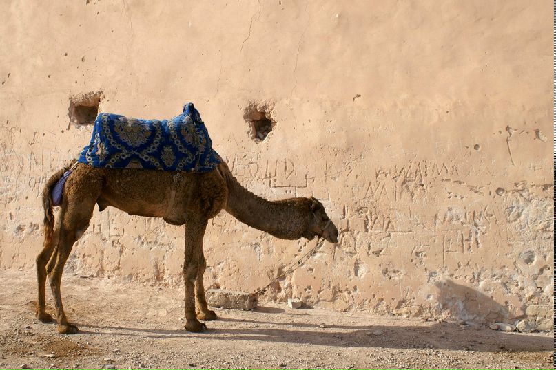 Екатерина Тришанова | Москва