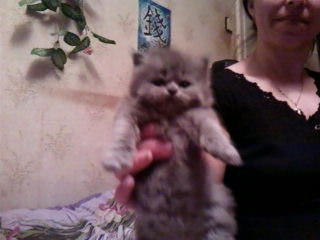 №94, Елена Федотовская, 37 лет, Солдатка №94, Елена Федотовская, 37 лет, Солдатка