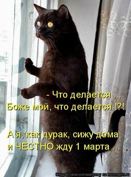 №11, Коля Пукалюк, Дубно №11, Коля Пукалюк, Дубно