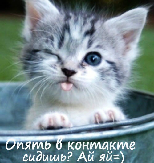 Любовь Моисеева фото со стены #2196