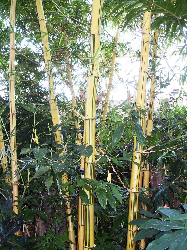 Максим Садчиков | Самара