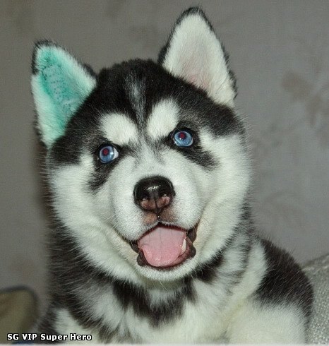 Богдан Яцкоборовський | Ровно