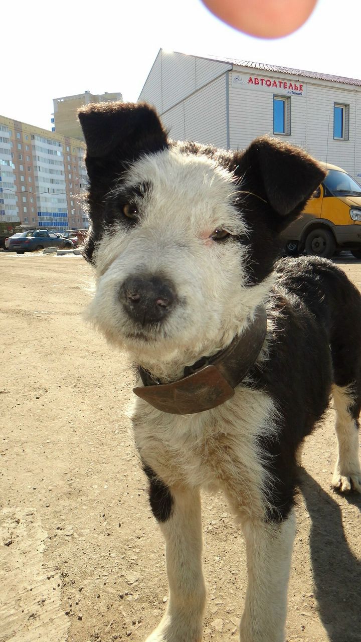 Алексей [b;yzr | Омск