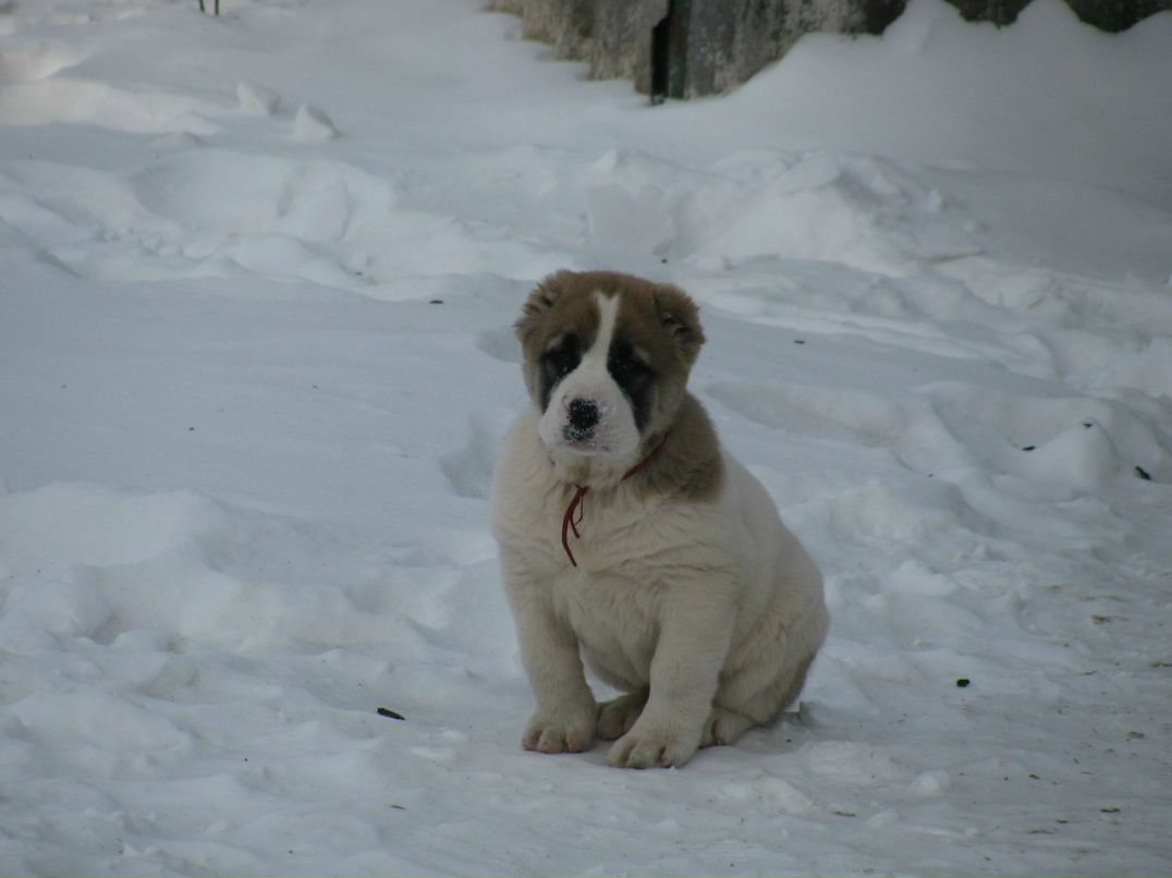 Анатолий Кондаков .ιllιlCлУшАтЕлЬιιllιlι.ιl | Днепр (Днепропетровск)
