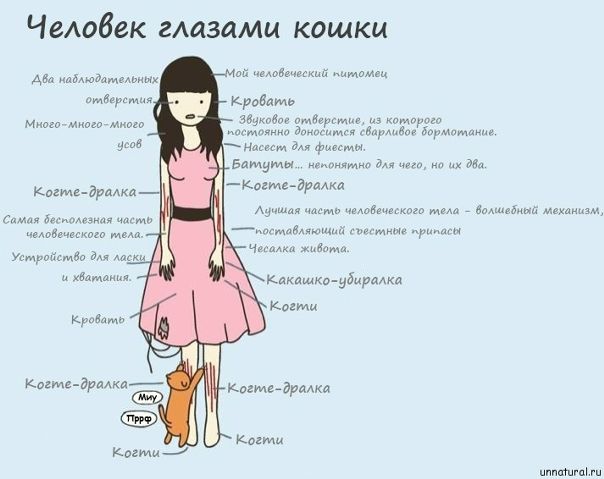 №32, Анастасия Черных, 34 года №32, Анастасия Черных, 34 года