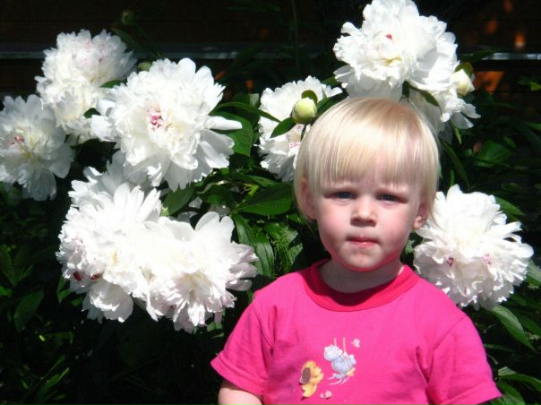 №53, Анастасия Брянцева, Санкт-Петербург №53, Анастасия Брянцева, Санкт-Петербург