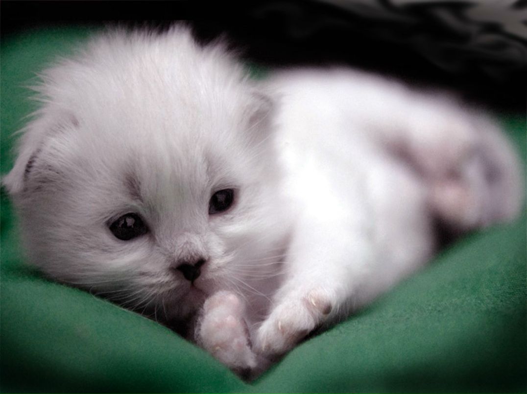 Александр Багин | Воркута