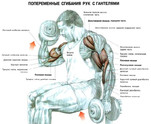 Роман Сбродов RA | Иршанск
