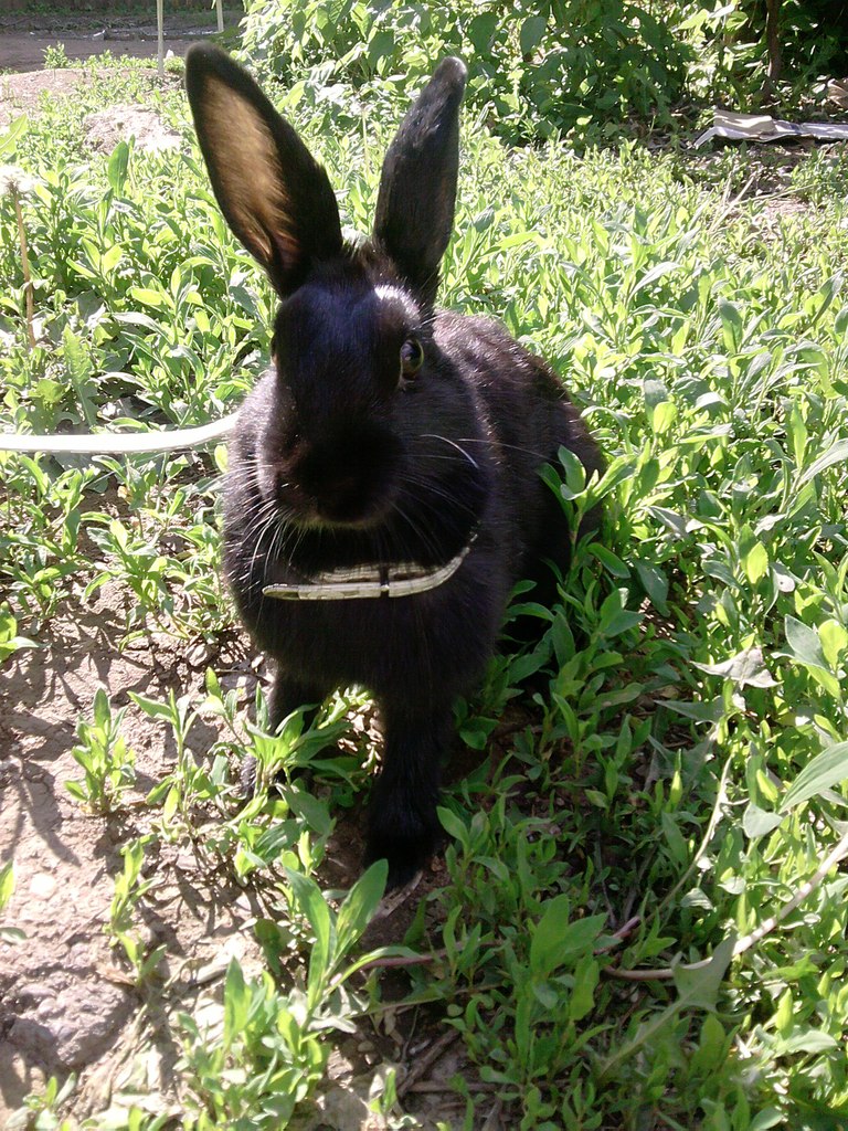 Альфия Мухаметдинова | Уфа