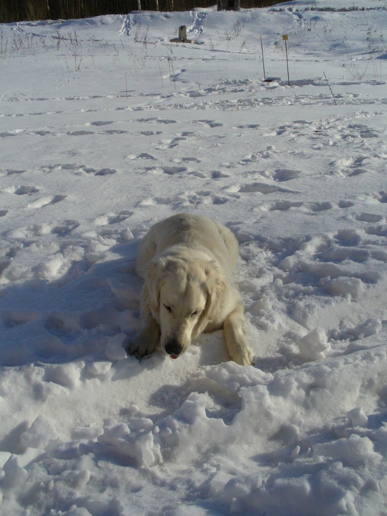 Наталья Казмирчук | Череповец