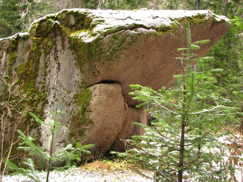 Наталья Горбунова | Красноярск