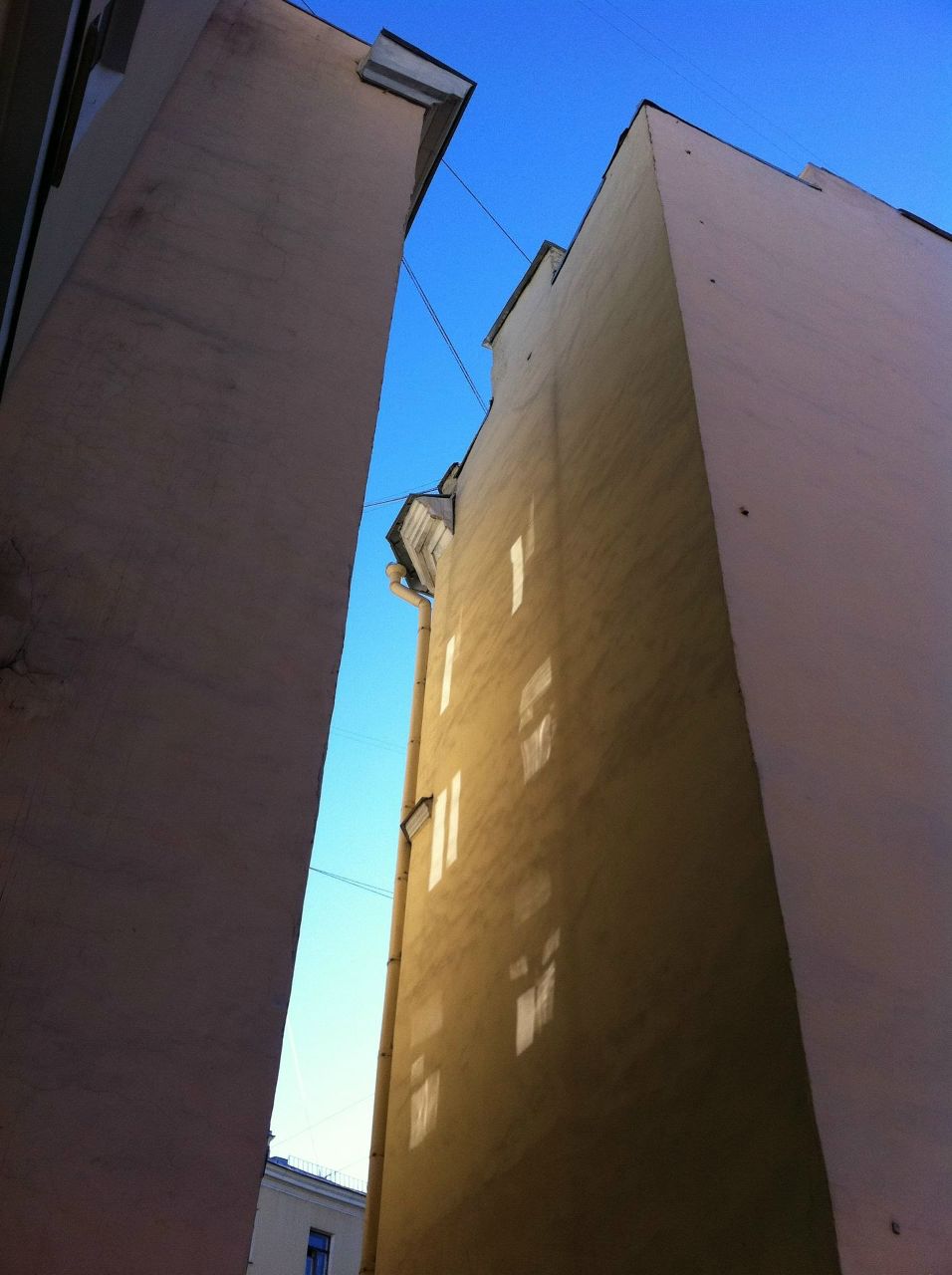 Денис Васильев | Санкт-Петербург