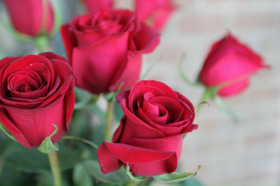 №18, Kristina Lucas №18, Kristina Lucas