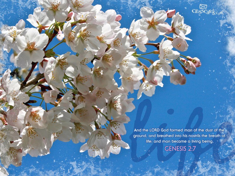 Оксана Пугач-Заблоцкая | Тернополь