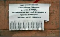 №30 Майя Понамарева : профиль, фото, статус - ВКонтакте №30 Майя Понамарева : профиль, фото, статус - ВКонтакте