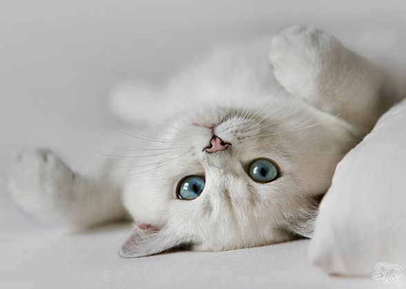 №20, Лидия Кириченко, 30 лет №20, Лидия Кириченко, 30 лет