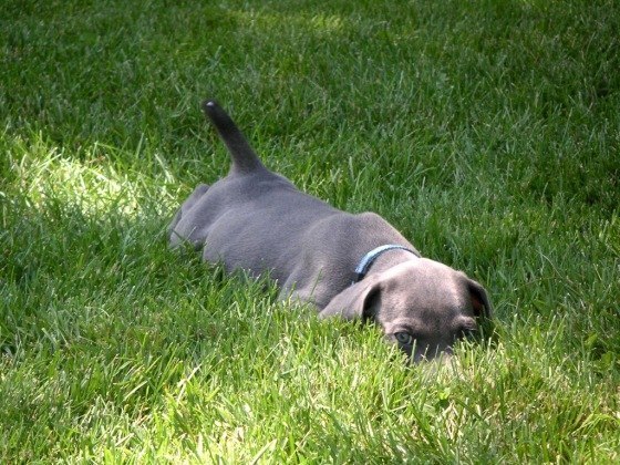 Елена Волкова | Уфа