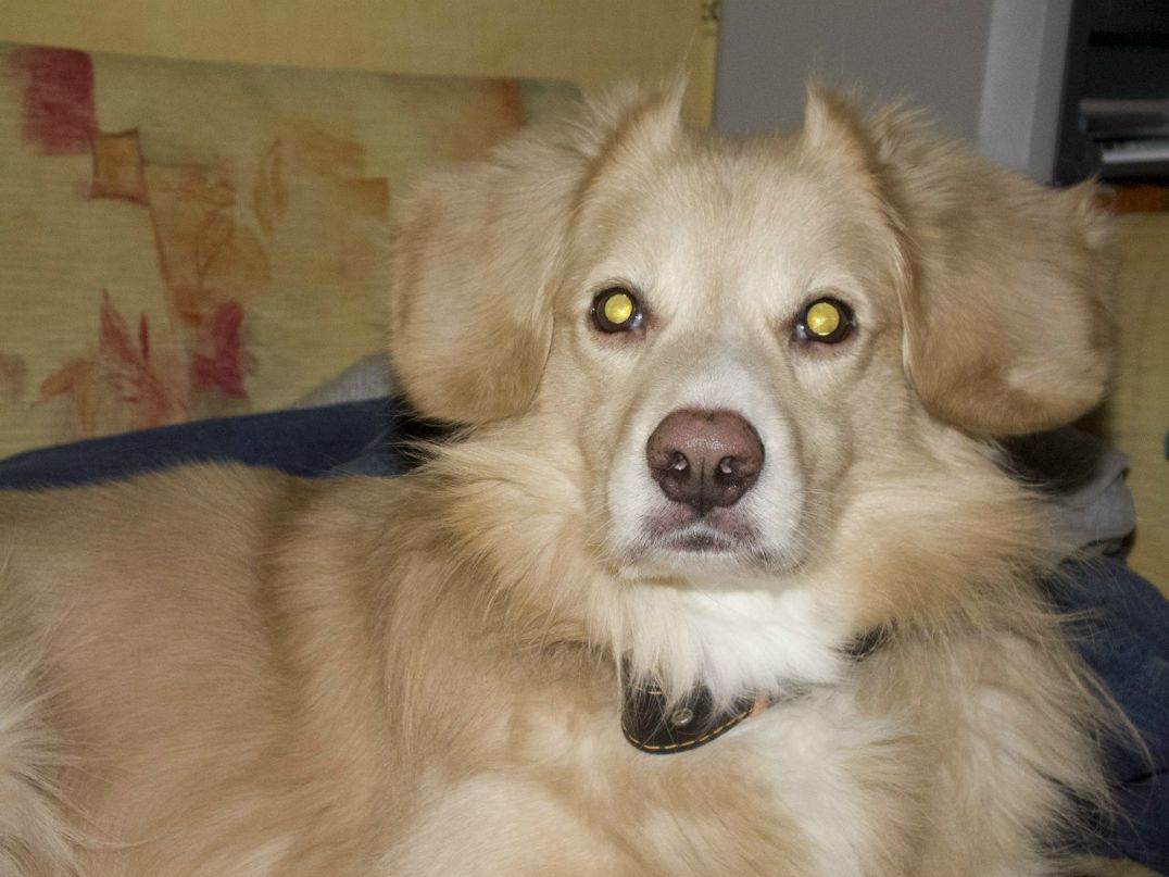 Сергей Лысенков | Тольятти